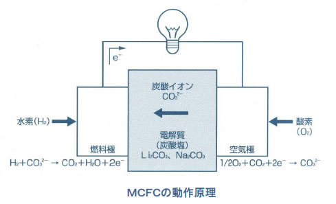 電池の基礎シリーズ-画像130903