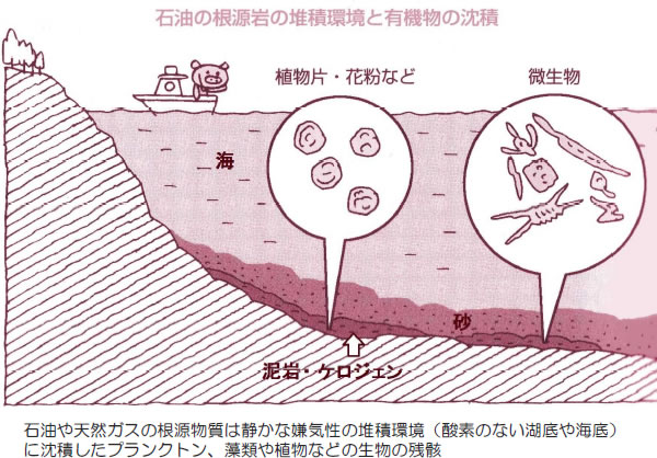 エネルギー資源の現状と将来-画像140601