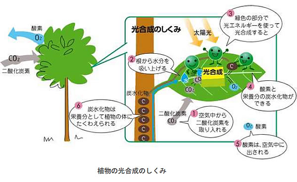 地球温暖化と温室効果ガスの検証-画像200802