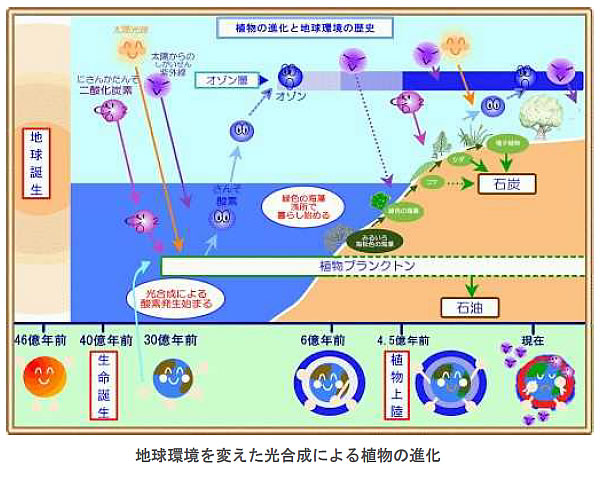 地球温暖化と温室効果ガスの検証-画像200803