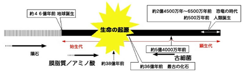 地球科学と生命の誕生・進化-画像230211