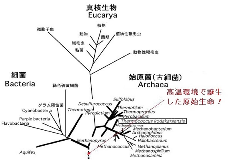 地球科学と生命の誕生・進化-画像230410