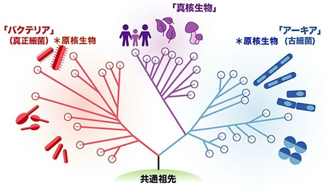 地球科学と生命の誕生・進化-画像230612