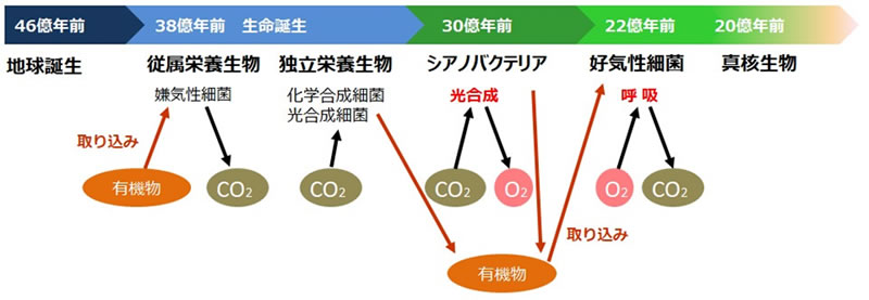 地球科学と生命の誕生・進化-画像230613