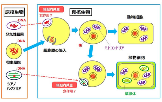 地球科学と生命の誕生・進化-画像230614