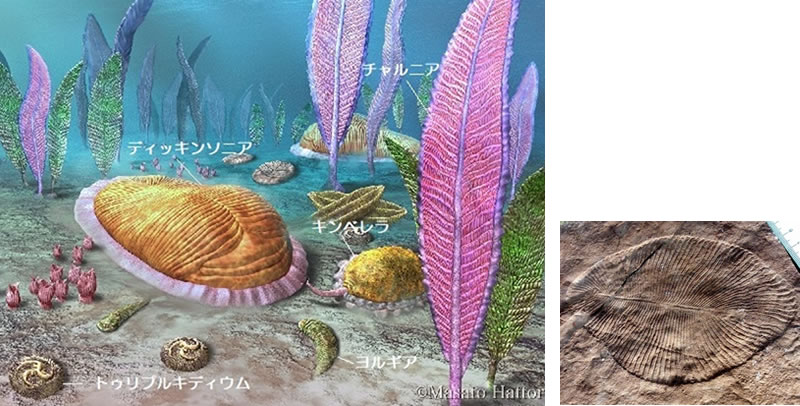 地球科学と生命の誕生・進化-画像230714