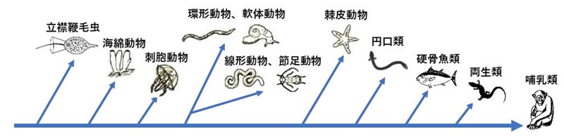 地球科学と生命の誕生・進化-画像230806