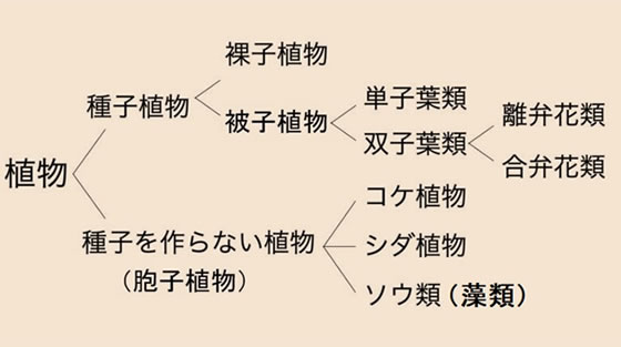 地球科学と生命の誕生・進化-画像230902