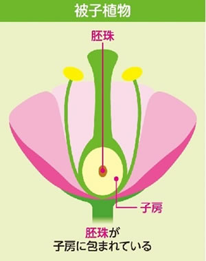 地球科学と生命の誕生・進化-画像230904