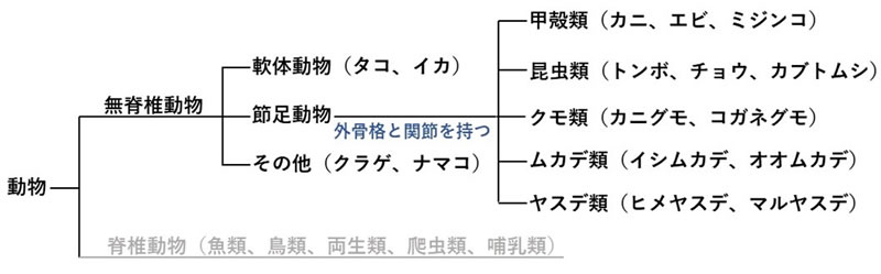 地球科学と生命の誕生・進化-画像230910