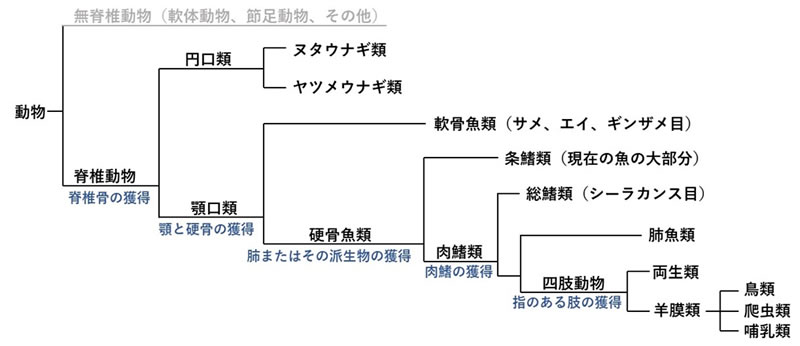 地球科学と生命の誕生・進化-画像230912