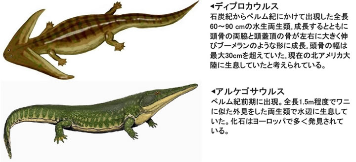 地球科学と生命の誕生・進化-画像231007