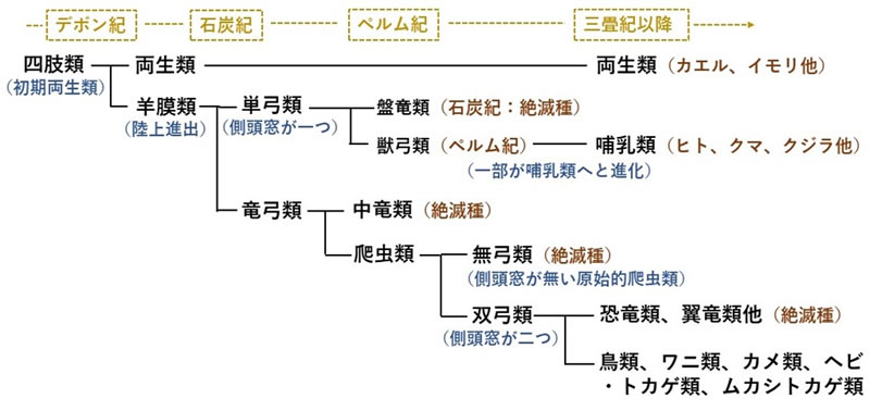 地球科学と生命の誕生・進化-画像231010