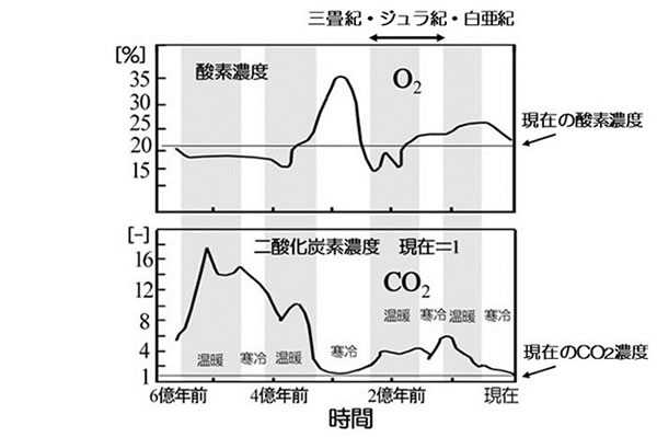 画像15